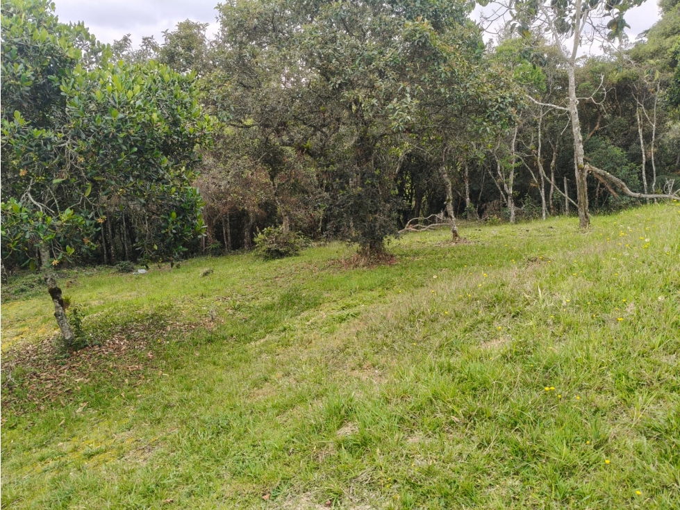 Venta Lote en Medellín, sector Alto de Las Palmas — foto 4