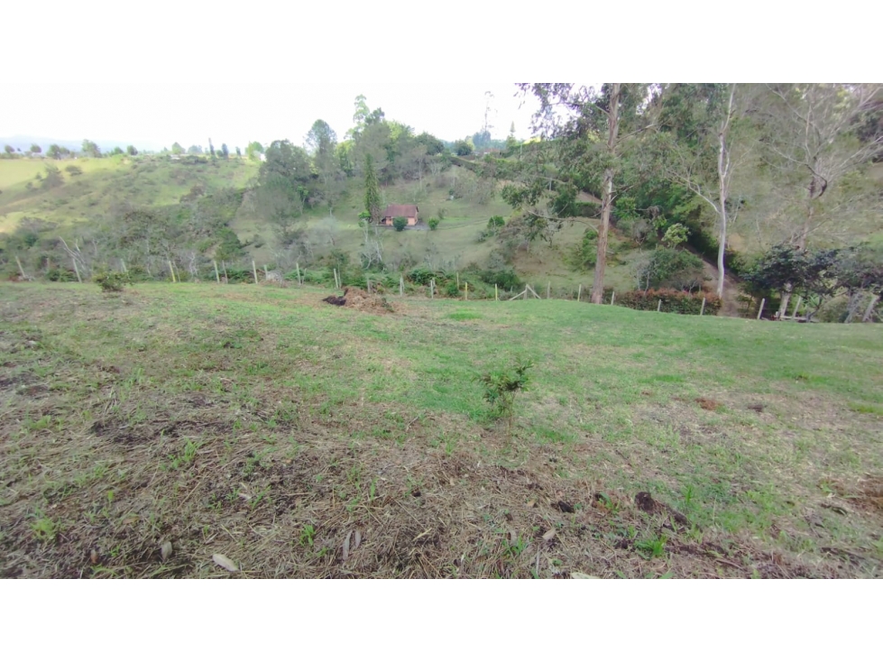 Venta de Lote en San Vicente por pelo pelo — foto 5