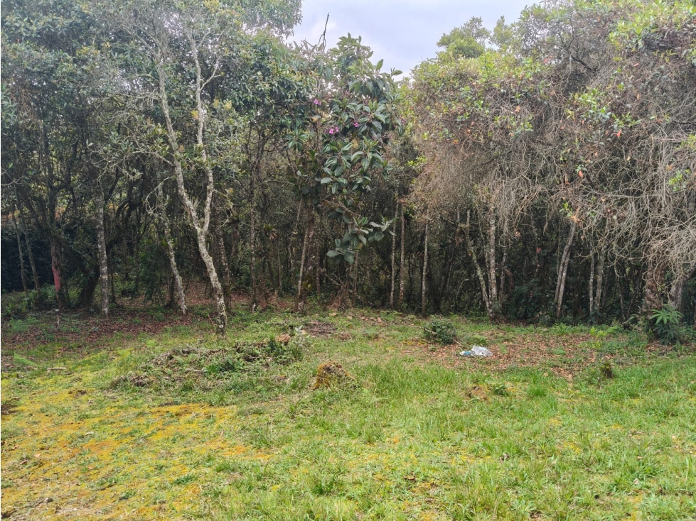 Venta Lote en Medellín, sector Alto de Las Palmas — foto 5