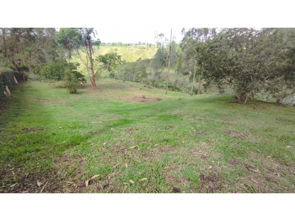 Venta de Lote en San Vicente por pelo pelo — foto 6