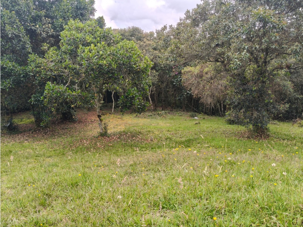 Venta Lote en Medellín, sector Alto de Las Palmas — foto 6