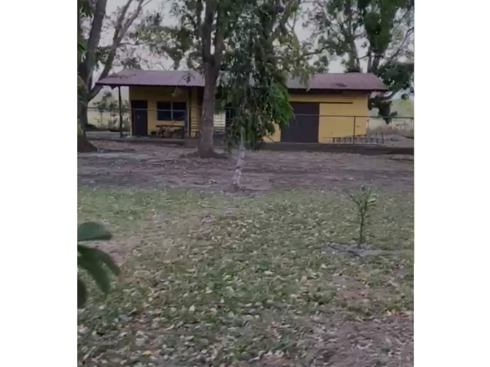 VENTA TERRENO EN CHAME 2 HECTÁREAS — foto 2