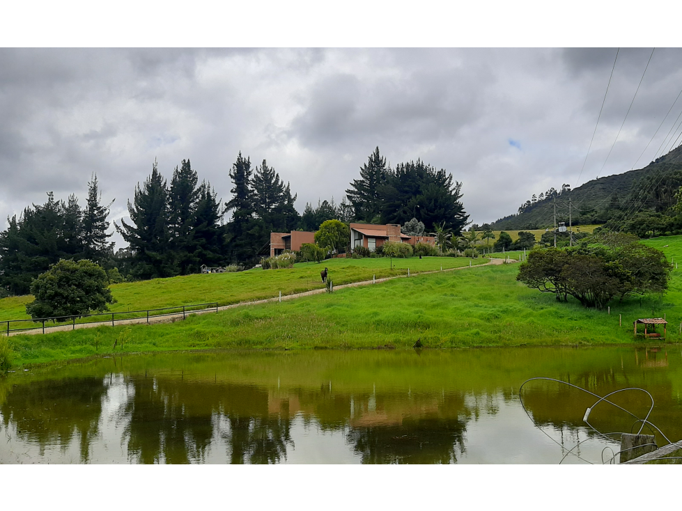 VENDO HERMOSA FINCA CON MODERNA CASA LAGO Y UNA SUPER UBICACION TENJO - 3