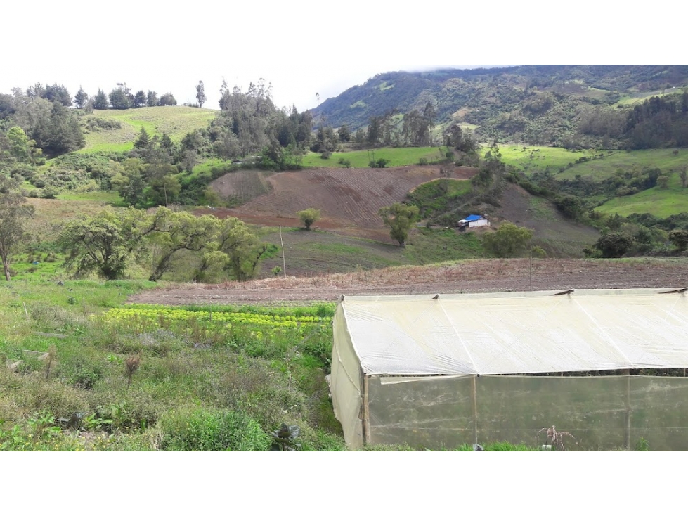 VENDO LOTE TOCANCIPA SOBRE LA VARIANTE 15978m2 - 5