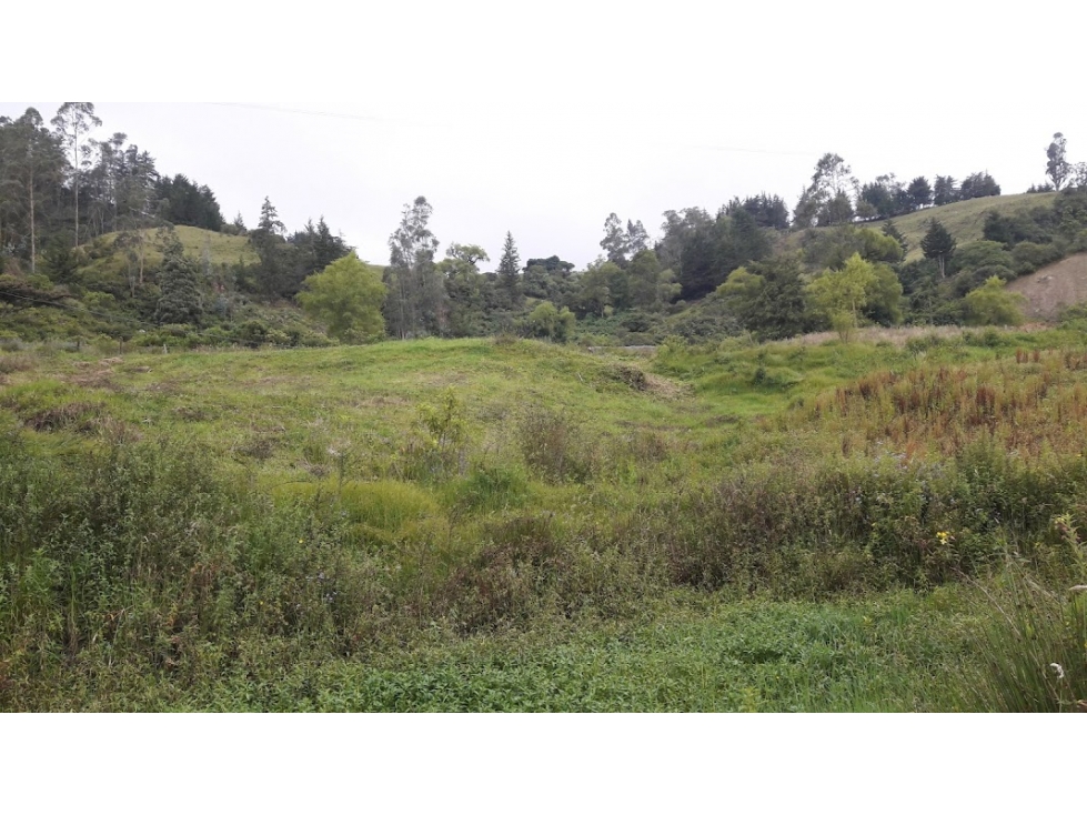 VENDO LOTE TOCANCIPA SOBRE LA VARIANTE 15978m2 - 3