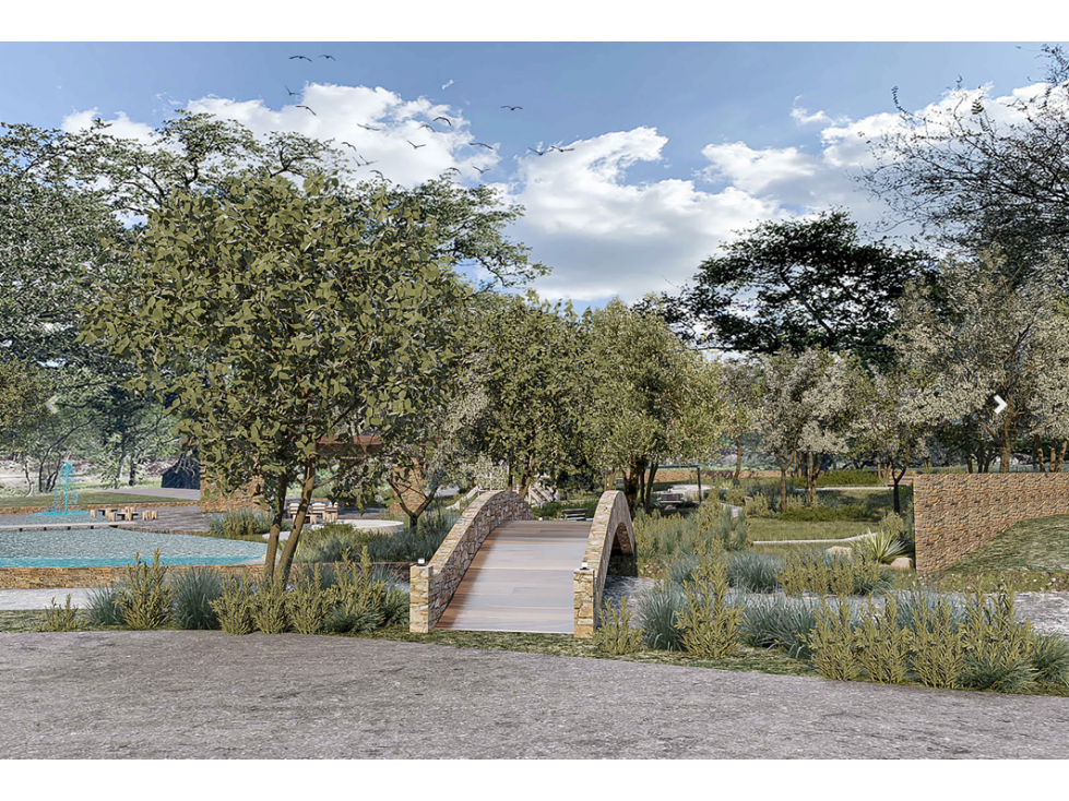 VENTA DE TERRENOS CAMPESTRES EN MONTEMORELOS - 1