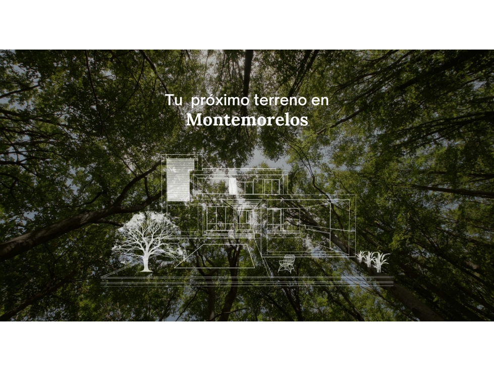 VENTA DE TERRENOS EN MONTEMORELOS N.L., SOBRE CARRETERA. - 5