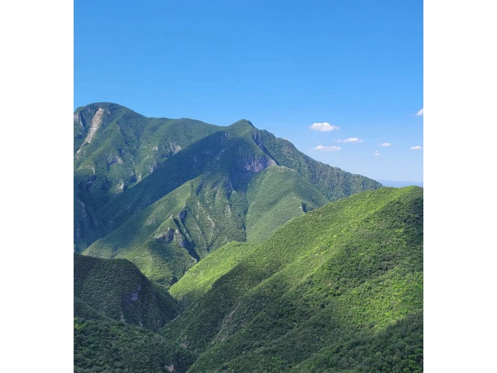 VENTA DE TERRENOS EN MONTEMORELOS N.L., SOBRE CARRETERA. - 6