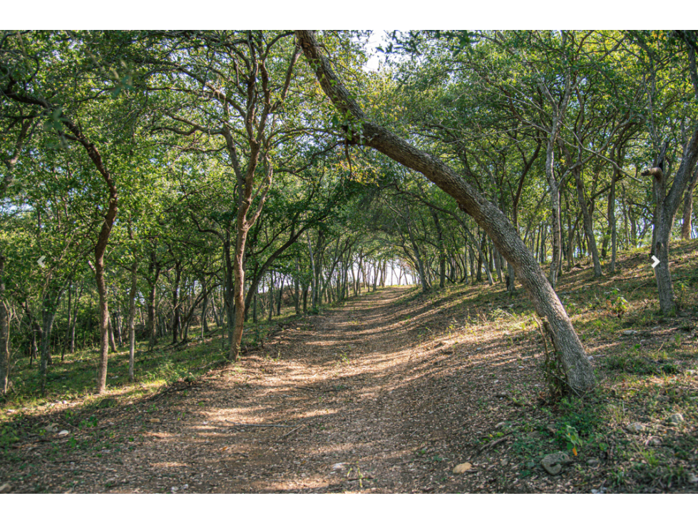 VENTA DE TERRENOS CAMPESTRES EN MONTEMORELOS - 3
