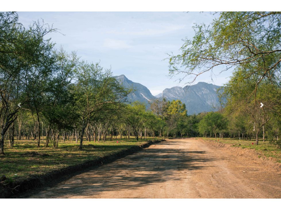 VENTA DE TERRENOS CAMPESTRES EN MONTEMORELOS - 4