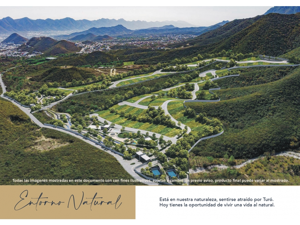 VENTA DE TERRENOS EN VALLE ALTO CARRETERA NACIONAL, MONTERREY N.L - 4