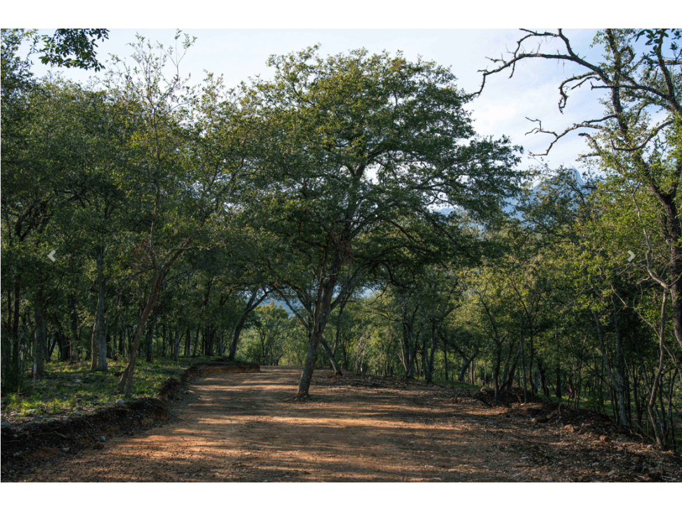 VENTA DE TERRENOS CAMPESTRES EN MONTEMORELOS - 5