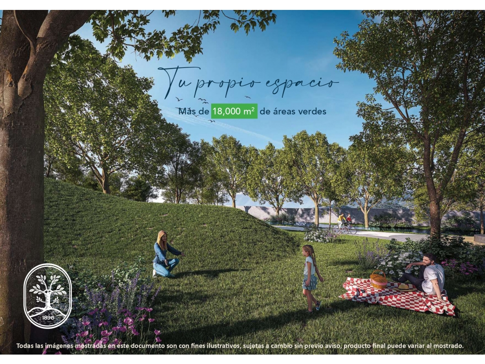 VENTA DE TERRENOS EN VALLE ALTO CARRETERA NACIONAL, MONTERREY N.L - 5