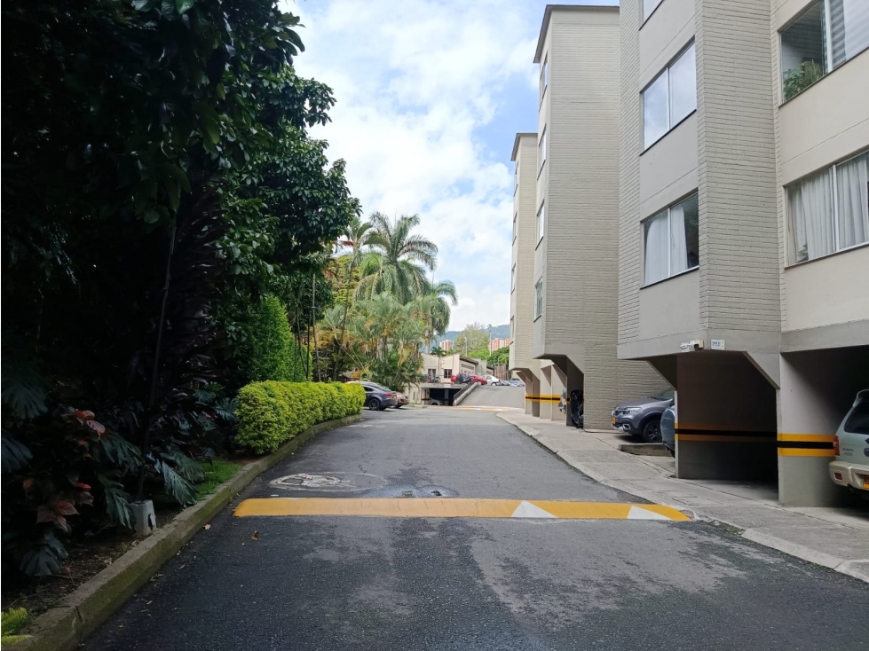 faroles Belén la palma — foto 4
