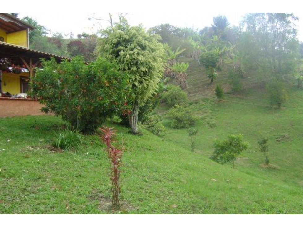 Lote en Marinilla a 5 minutos del Peñol - 3