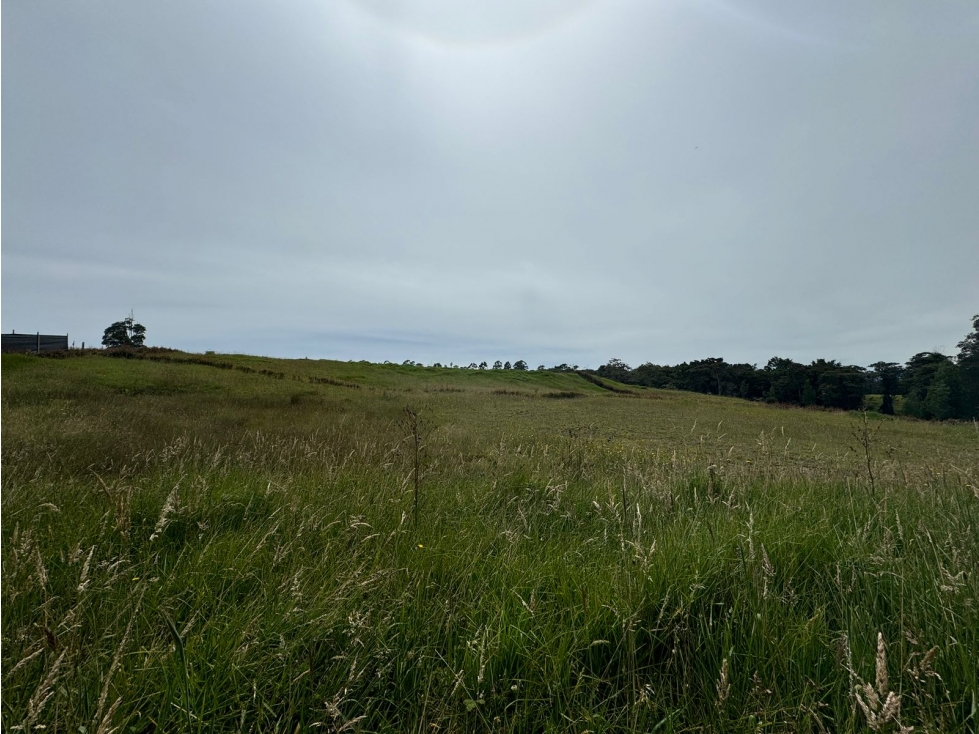 Lote en las palmas Sector Indiana — foto 4