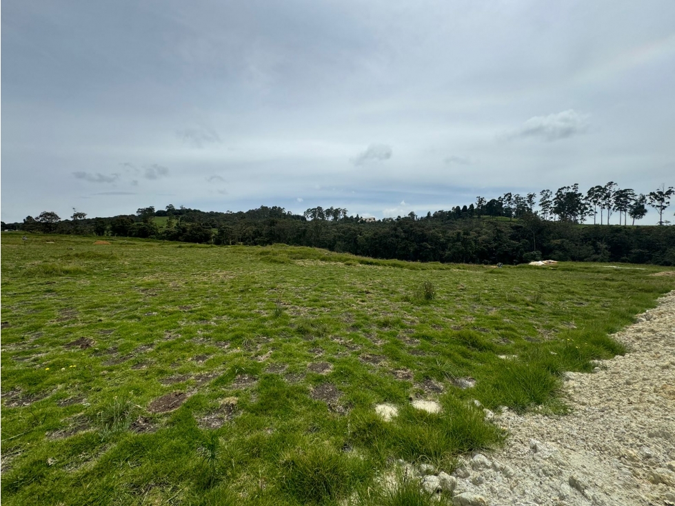 Lote exclusivo en las palmas Sector Indiana — foto 6