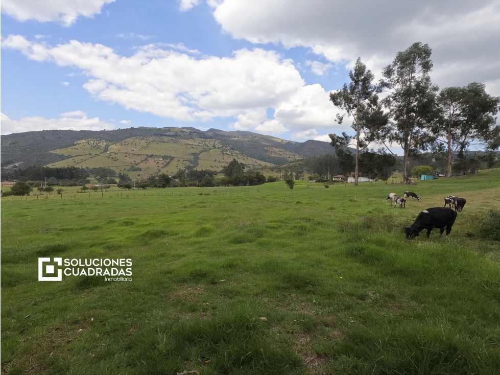 Venta finca en Sesquilé (Con agua, vía a la laguna de Guatavita) - 3