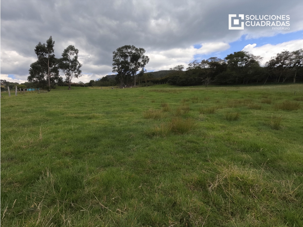 Venta finca en Sesquilé (Con agua, vía a la laguna de Guatavita) - 4
