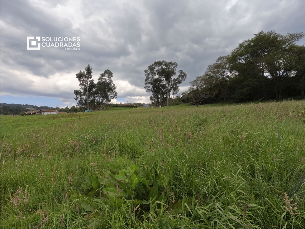 Venta finca en Sesquilé (Con agua, vía a la laguna de Guatavita) - 5