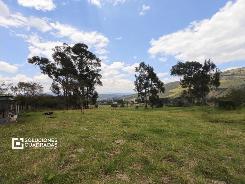 Venta finca en Sesquilé (Con agua, vía a la laguna de Guatavita) - 6
