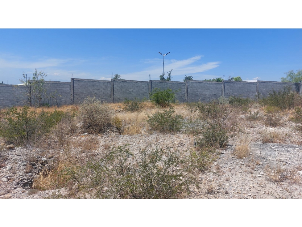 VENTA - CIENEGA DE FLORES Terreno