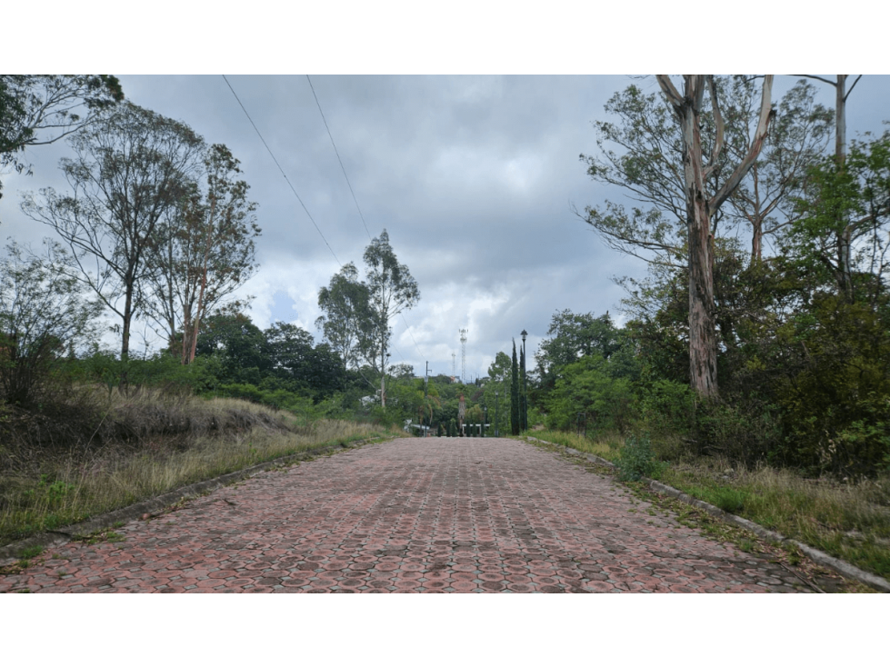 Lote en Venta en Fincas Haras del Bosque, Haras del Bosque, Puebla - 1