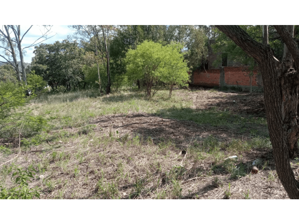 Lote en Venta en Fincas Haras del Bosque, Haras del Bosque, Puebla - 4
