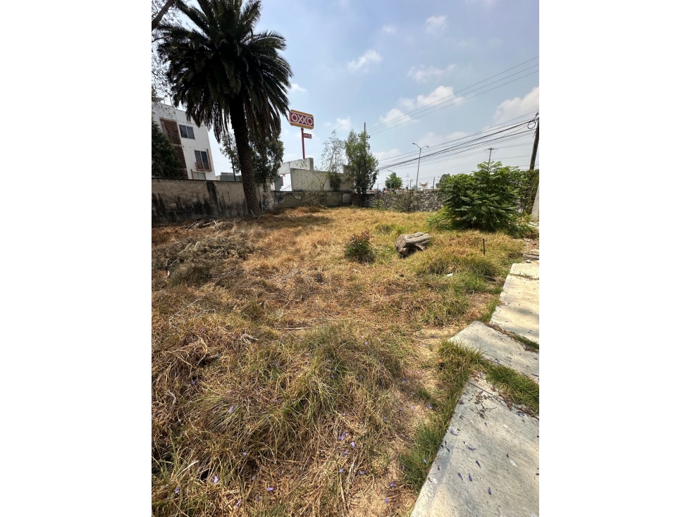 Terreno en Renta ubicado en Huejotzingo, Santa María Zacatepec, Puebla - 3