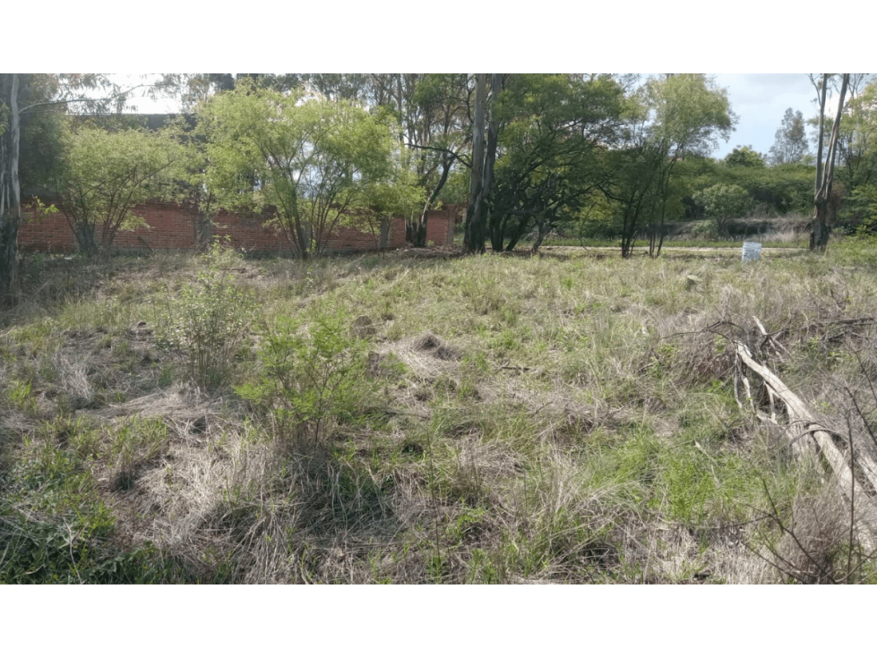 Lote en Venta en Fincas Haras del Bosque, Haras del Bosque, Puebla - 5