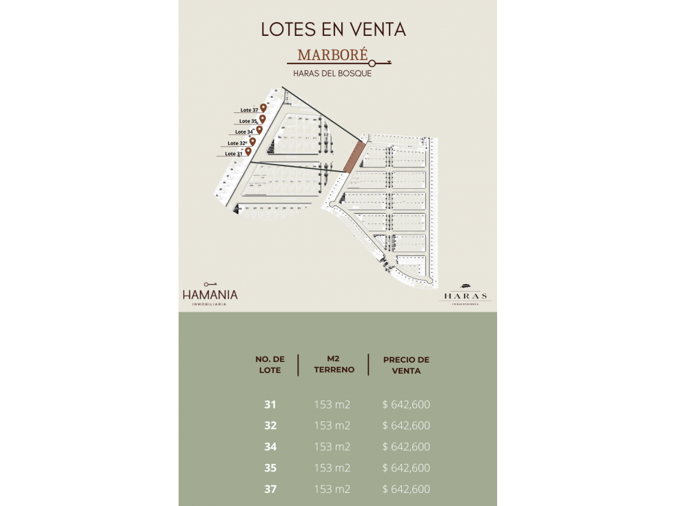 Lotes en Venta en Fraccionamiento Marboré, Haras del Bosque, Puebla - 1