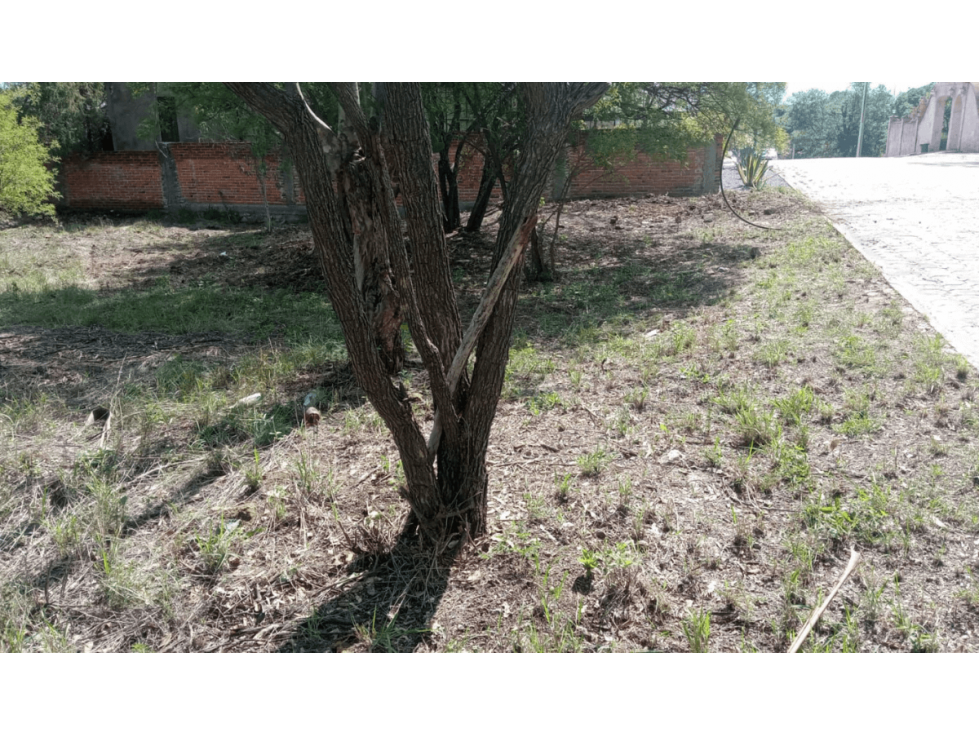 Lote en Venta en Fincas Haras del Bosque, Haras del Bosque, Puebla - 6