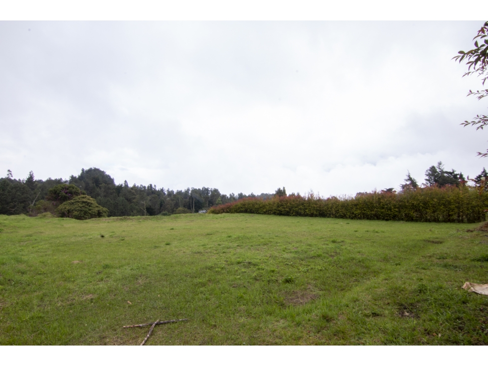 Lote en venta en sector de Alto de las Palmas - Envigado — foto 6