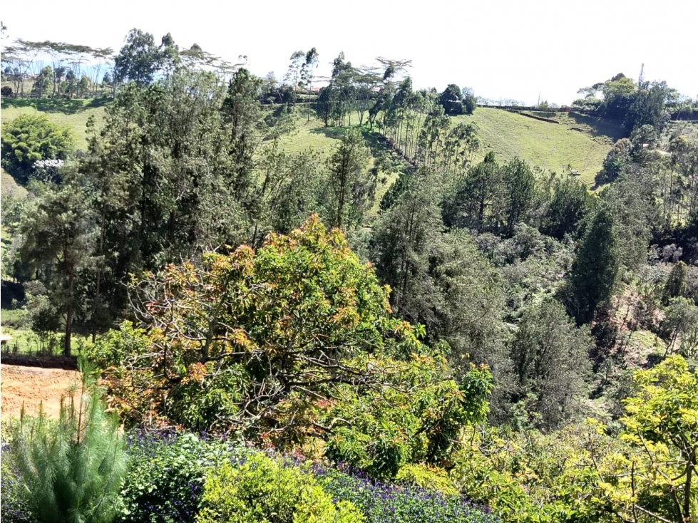 Linda finca Rionegro, vereda San Luis, via San Vicente — foto 4