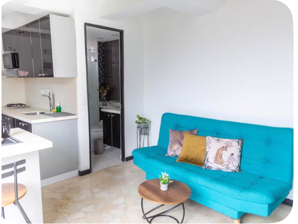 APARTAMENTO TIPO LOFT EN VENTA EN LA FRONTERA — foto 4