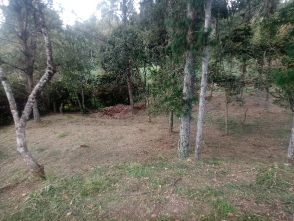 Hermoso lote con topografía muy aprovechable, Piedras blancas, Guarne.