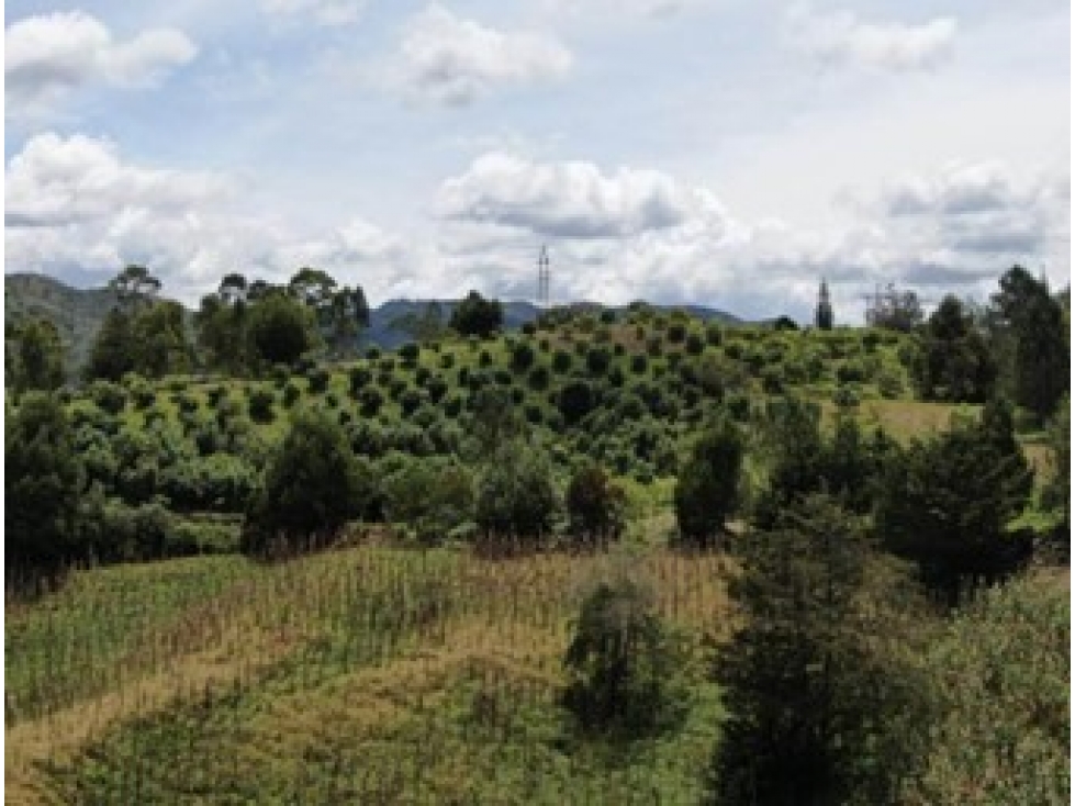Lote para parcelar en San Vicente Ferrer, Oriente Antioqueño