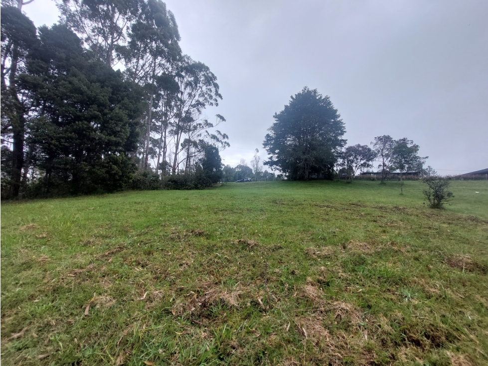 Lote en venta, Envigado las palmas