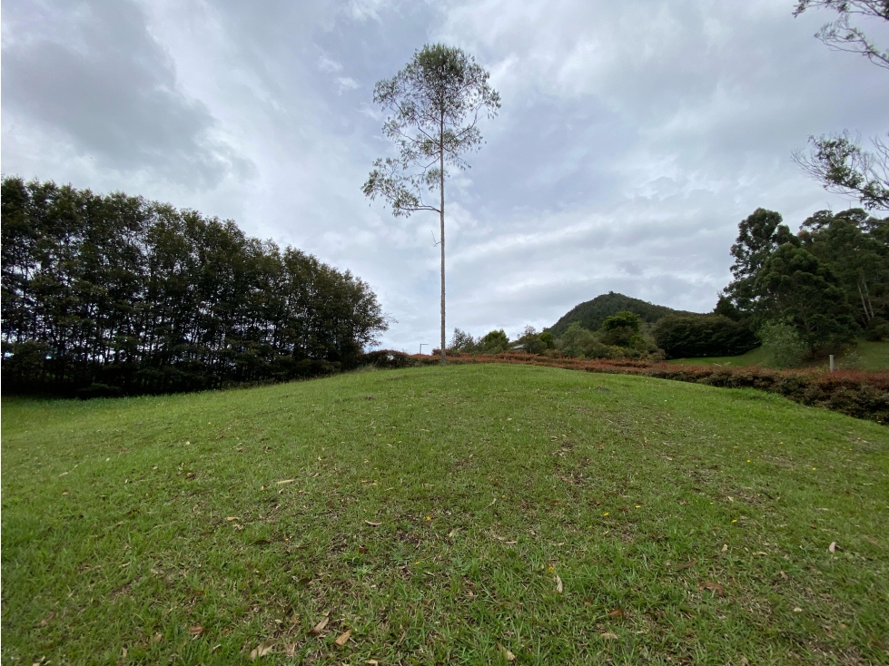 Lote en venta, La Ceja - Antioquia, sector el Capiro