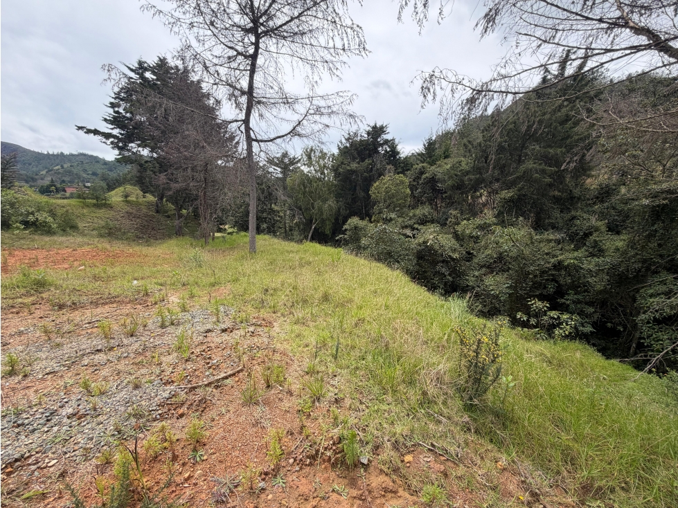 HERMOSO LOTE EN EL RETIRO - VÍA DON DIEGO / LA CEJA — foto 3