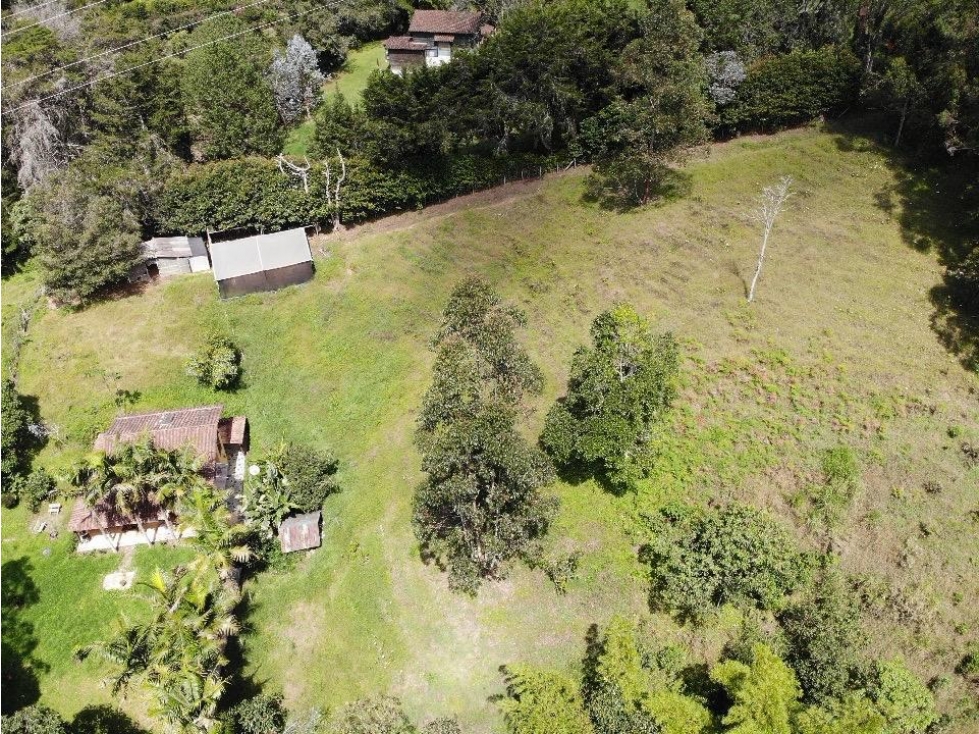 VENDO HERMOSA FINCA LA CEJA - Corredor San Antonio - La Ceja — foto 5