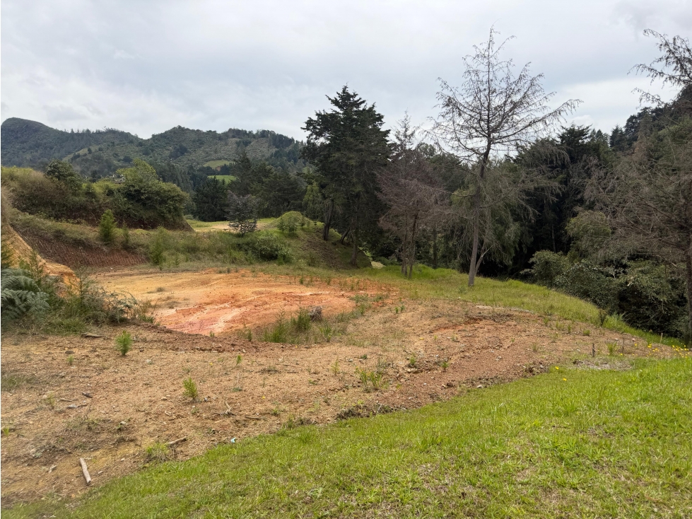 HERMOSO LOTE EN EL RETIRO - VÍA DON DIEGO / LA CEJA