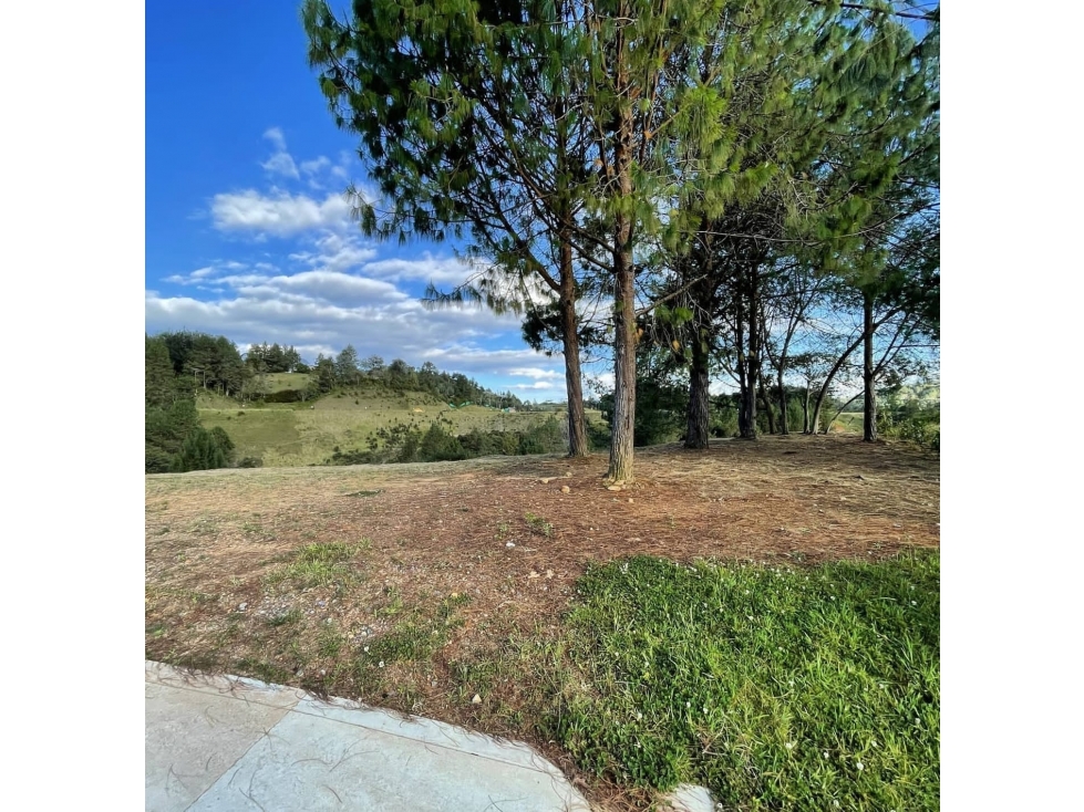 Lote en sector Altos del Escobero - Envigado
