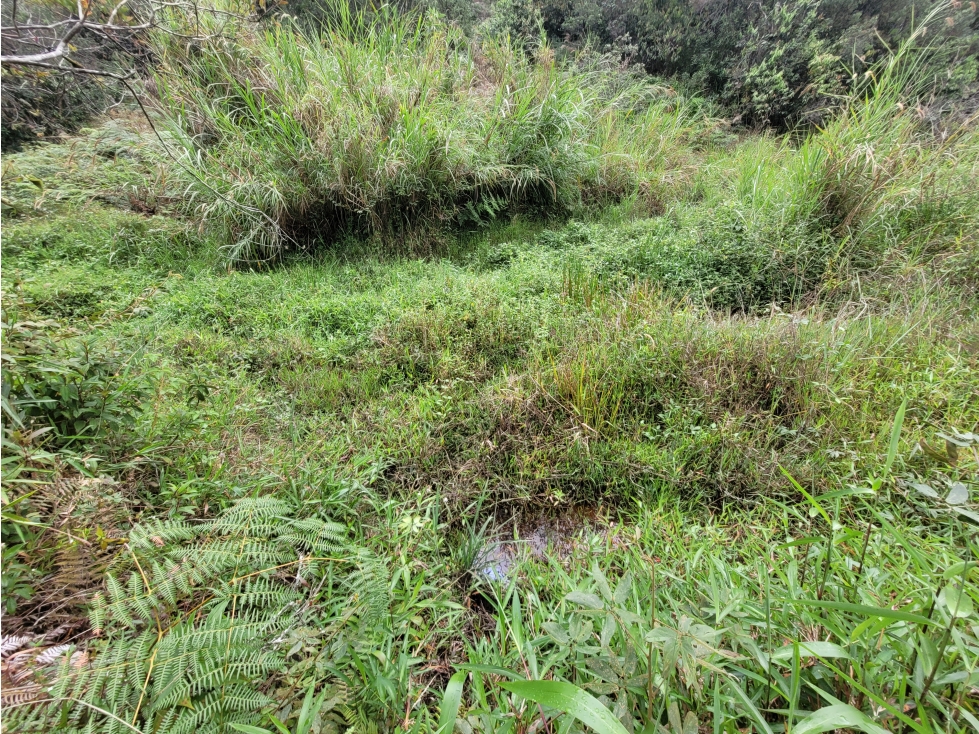 Lote en venta, Rionegro, Antioquia — foto 5