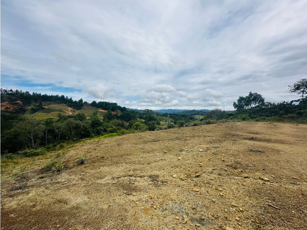 VENDO HERMOSO LOTE EN EL RETIRO - VÍA DON DIEGO / LA CEJA — foto 2