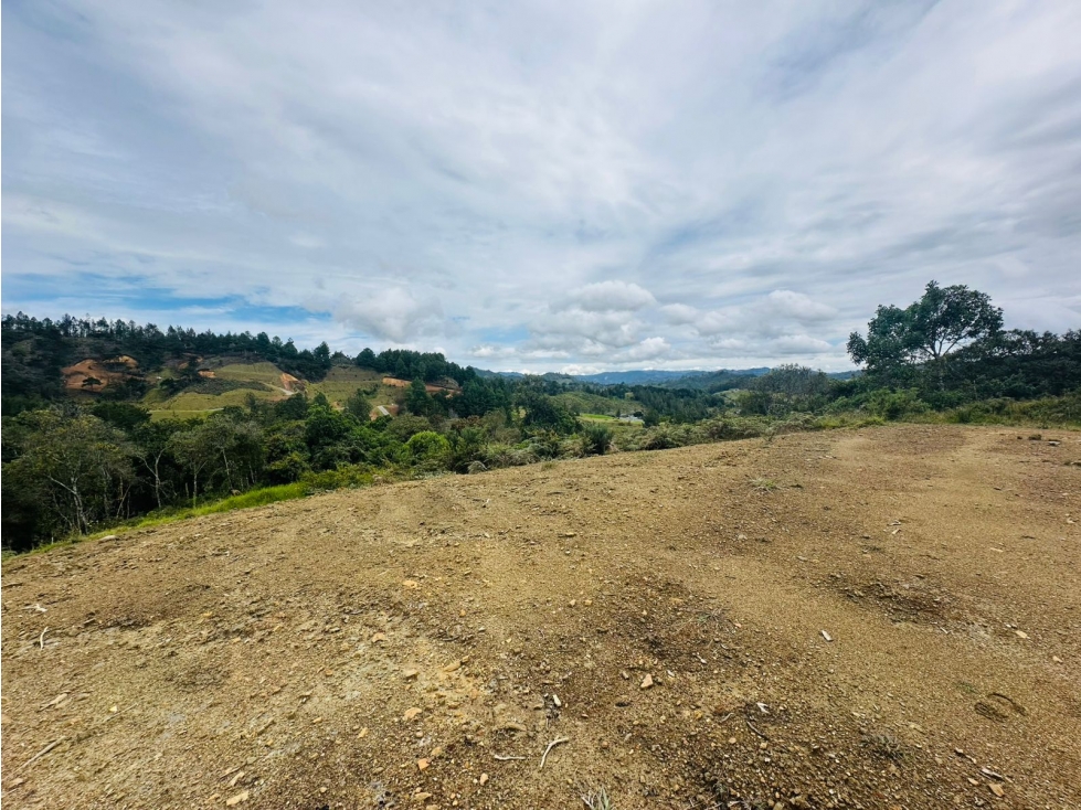 VENDO HERMOSO LOTE EN EL RETIRO - VÍA DON DIEGO / LA CEJA — foto 3