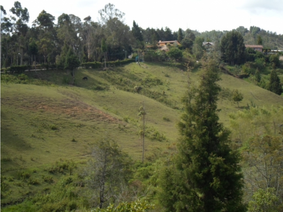 Lote en venta, guarne.