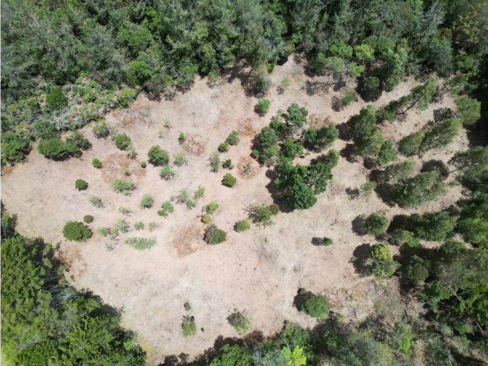 Hermoso lote con topografía muy aprovechable, Piedras blancas, Guarne. — foto 2