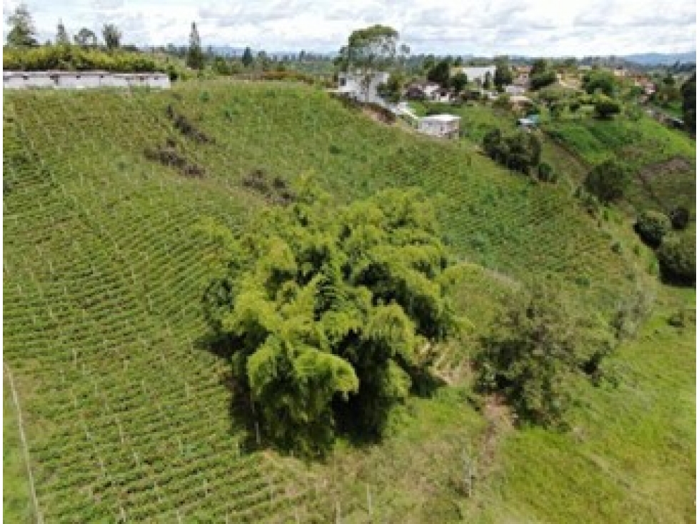 Lote para parcelar en San Vicente Ferrer, Oriente Antioqueño — foto 2