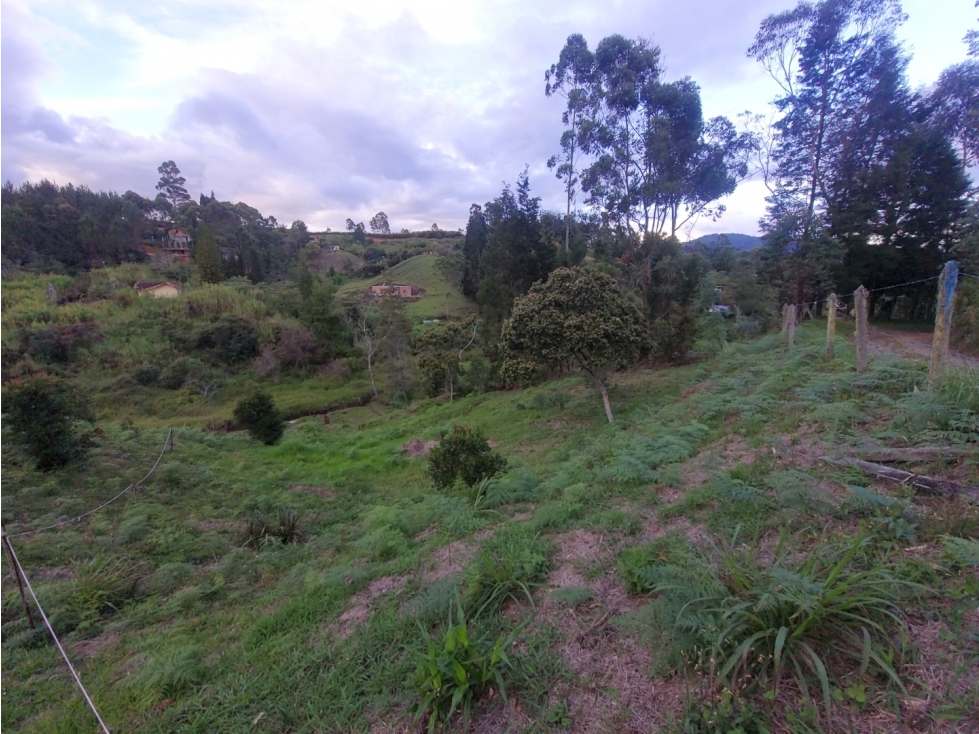 Lote en venta, V. Hojas Anchas, Guarne